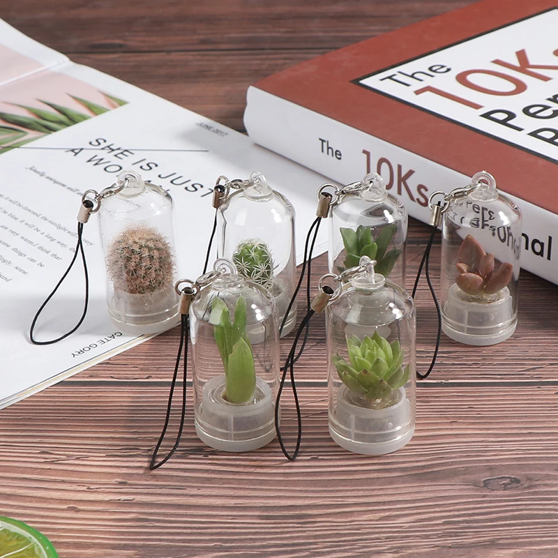 1PC Random 2.5*5cm Wearable Miniature Succulent Cacti Keychain Necklace Plant Sent Random Cute Cactus
1PC Random 2.5*5cm Wearable Miniature Succulent Cacti Keychain Necklace Plant Sent Random Cute Cactus