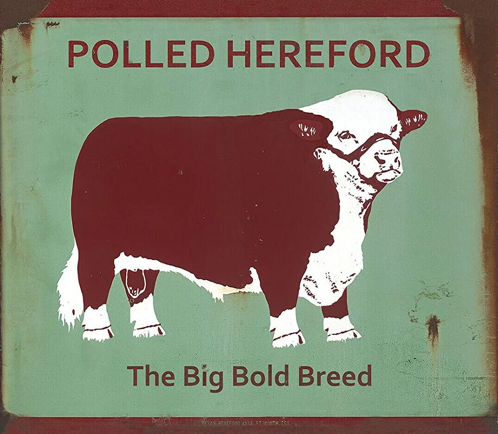 Texas Hereford Association Polled The Big Bold Breed Metal Sign 12x8 Inches
Texas Hereford Association Polled The Big Bold Breed Metal Sign 12x8 Inches