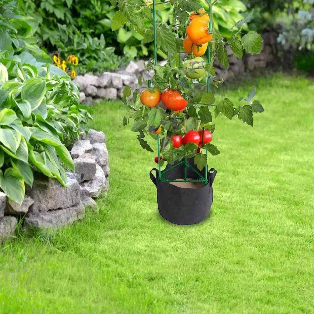 12 Pcs Support Cage Flower Support Plant Cage Gardening Garden trellis Pipe Climbing Practical Vertical Tomato Plant Support
12 Pcs Support Cage Flower Support Plant Cage Gardening Garden trellis Pipe Climbing Practical Vertical Tomato Plant Support