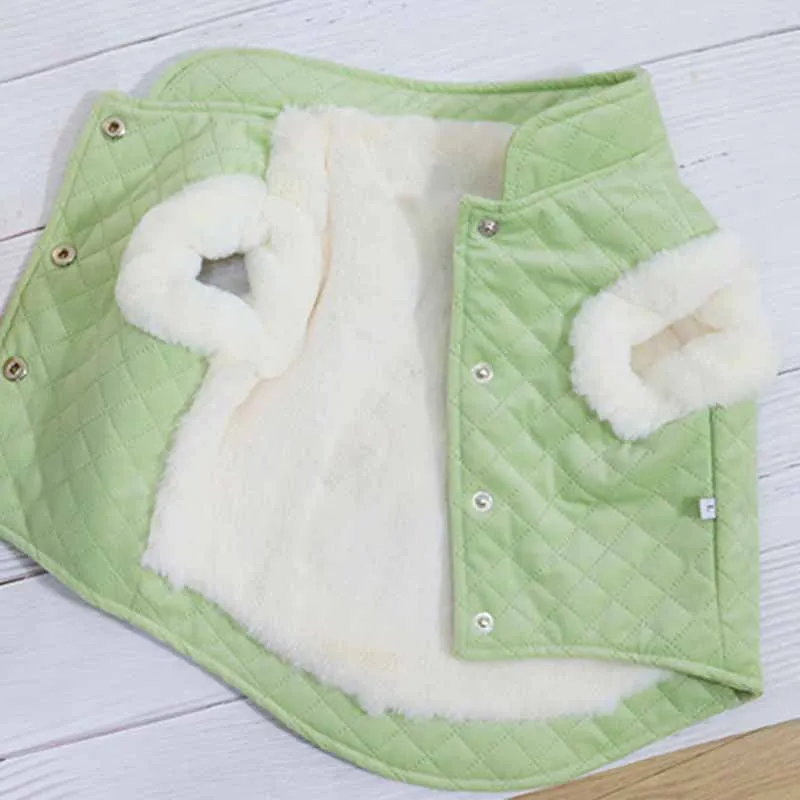 French bulldog starling fat dog vest lady temperament plush thick candy color New Year's clothing cotton jacket vest
French bulldog starling fat dog vest lady temperament plush thick candy color New Year's clothing cotton jacket vest