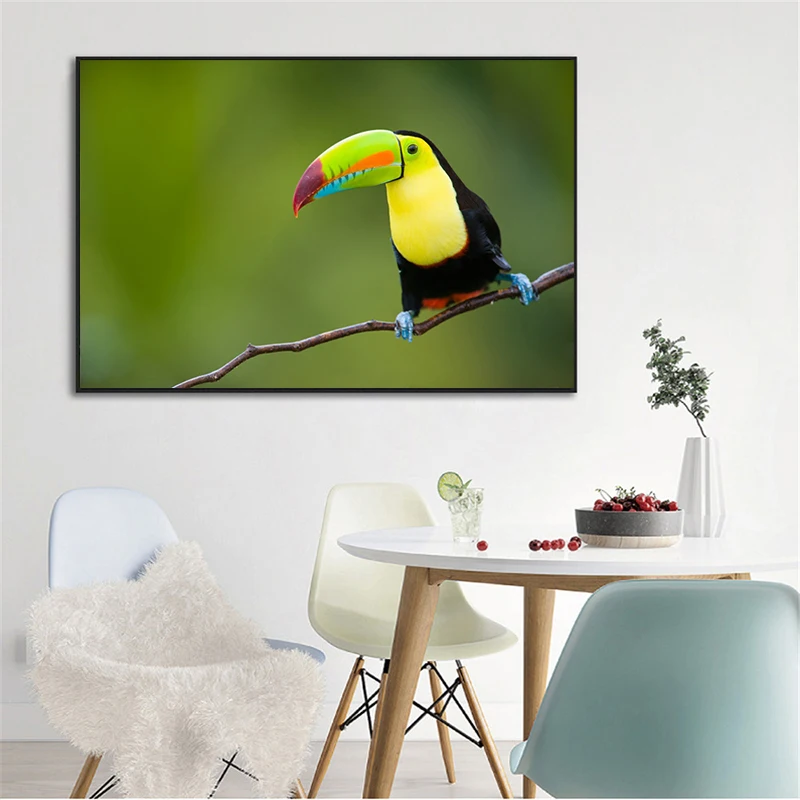Toucan Bird In Rainforest Animal Art Canvas Poster Painting Wall Picture Print Modern Kids Room Nursery Home Bedroom Decoration
Toucan Bird In Rainforest Animal Art Canvas Poster Painting Wall Picture Print Modern Kids Room Nursery Home Bedroom Decoration