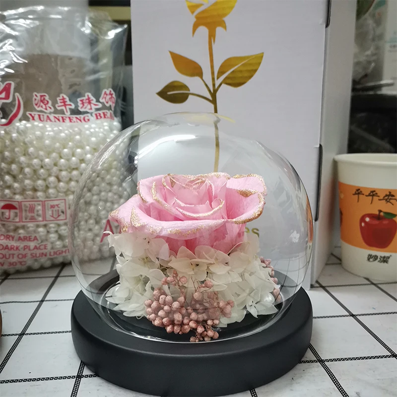 2021 New Natural Flowers Rose in Glass Dome Birthday Creative Romantic Gifts For Girlfriend Marry Valentine's Day Gift Christmas
2021 New Natural Flowers Rose in Glass Dome Birthday Creative Romantic Gifts For Girlfriend Marry Valentine's Day Gift Christmas