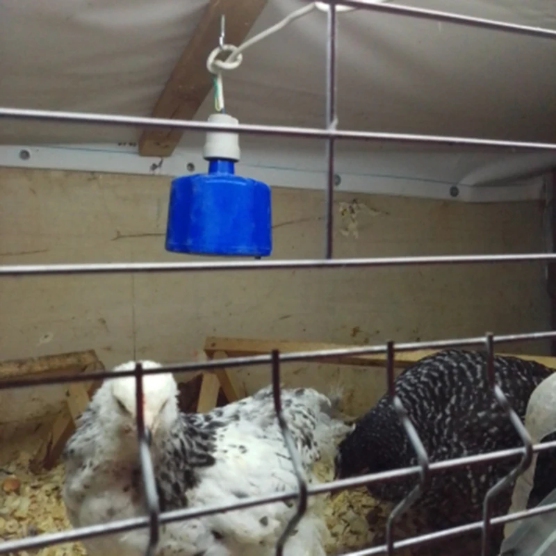 2Pcs Farm Heater Animal Warm Light Pets Piglets Chickens Heat Warm Lamp Keep Warming Bulb Controller for Incubator
2Pcs Farm Heater Animal Warm Light Pets Piglets Chickens Heat Warm Lamp Keep Warming Bulb Controller for Incubator
