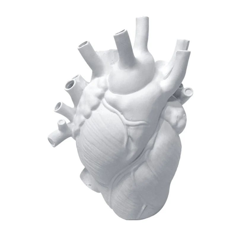 Hot Heart Resin Flower Pot Anatomical Heart Shape Statue Creative Crafts Ornament for Home Living Room Balcony Decoration
Hot Heart Resin Flower Pot Anatomical Heart Shape Statue Creative Crafts Ornament for Home Living Room Balcony Decoration