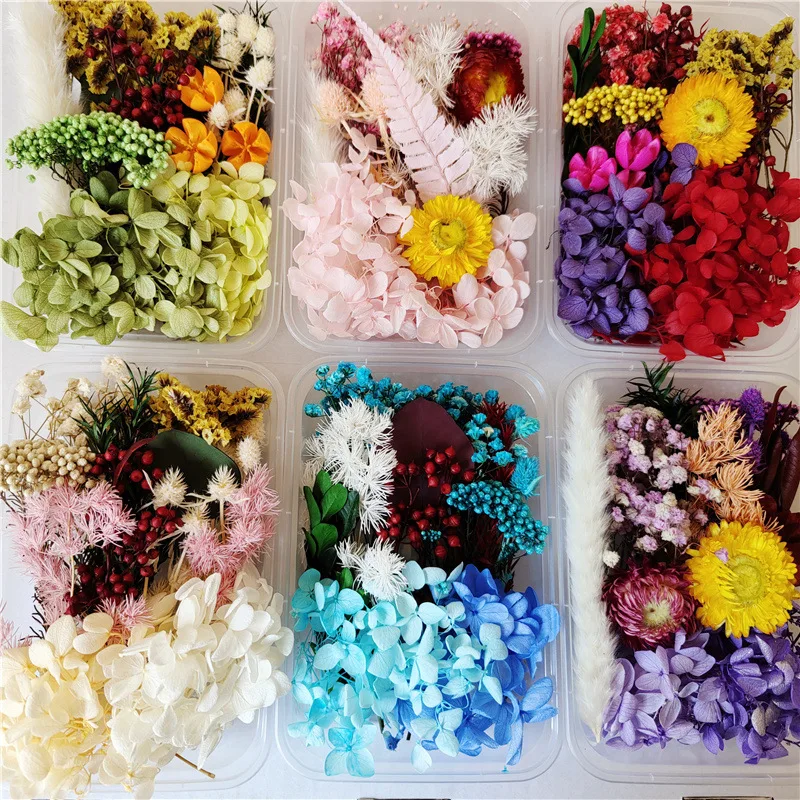 DIY Dried Flowers Set Real Natural Multiple Mixed Pressed Colorful Real Dry for Resin Jewelry Nail Craft Scrapbook Decorations
DIY Dried Flowers Set Real Natural Multiple Mixed Pressed Colorful Real Dry for Resin Jewelry Nail Craft Scrapbook Decorations