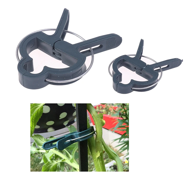 10/20PCS Garden Plants Fastener Bracket Fixed Flower Seedling Stem Grafting Support Clips
10/20PCS Garden Plants Fastener Bracket Fixed Flower Seedling Stem Grafting Support Clips