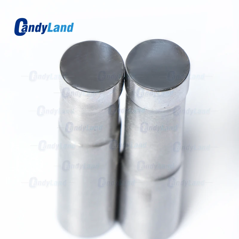 CandyLand 12mm Blank Tablet Die Pill Press Die Candy Punch Die Set Custom Logo Punch Die Cast Pill Press For Tablet Machine
CandyLand 12mm Blank Tablet Die Pill Press Die Candy Punch Die Set Custom Logo Punch Die Cast Pill Press For Tablet Machine