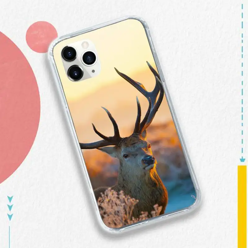 Deer Hunting fashion pattern high quality Phone Case funda for iPhone 11 12 pro XS MAX 8 7 6 6S Plus X 5S SE 2020 XR
Deer Hunting fashion pattern high quality Phone Case funda for iPhone 11 12 pro XS MAX 8 7 6 6S Plus X 5S SE 2020 XR