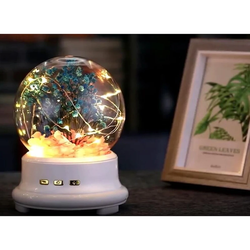 2 in 1 Dream Music Light Popular Card Bluetooth Speaker Eternal Flower Glowing Music with Night Light in Glass
2 in 1 Dream Music Light Popular Card Bluetooth Speaker Eternal Flower Glowing Music with Night Light in Glass