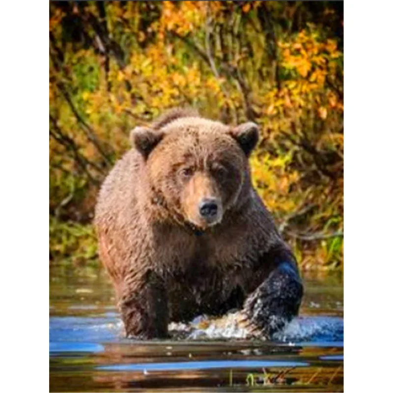 Diamond Painting Full Square Animal Pictures of Rhinestones 5D DIY Diamond Embroidery Bear Mosaic Craft Kit Home Decor
Diamond Painting Full Square Animal Pictures of Rhinestones 5D DIY Diamond Embroidery Bear Mosaic Craft Kit Home Decor