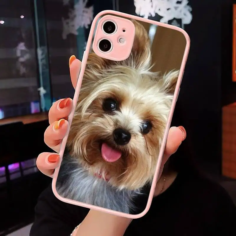 Cute Yorkshire terrier dog Phone Case Matte Transparent for iPhone 7 8 11 12 s mini pro X XS XR MAX Plus cover funda
Cute Yorkshire terrier dog Phone Case Matte Transparent for iPhone 7 8 11 12 s mini pro X XS XR MAX Plus cover funda
