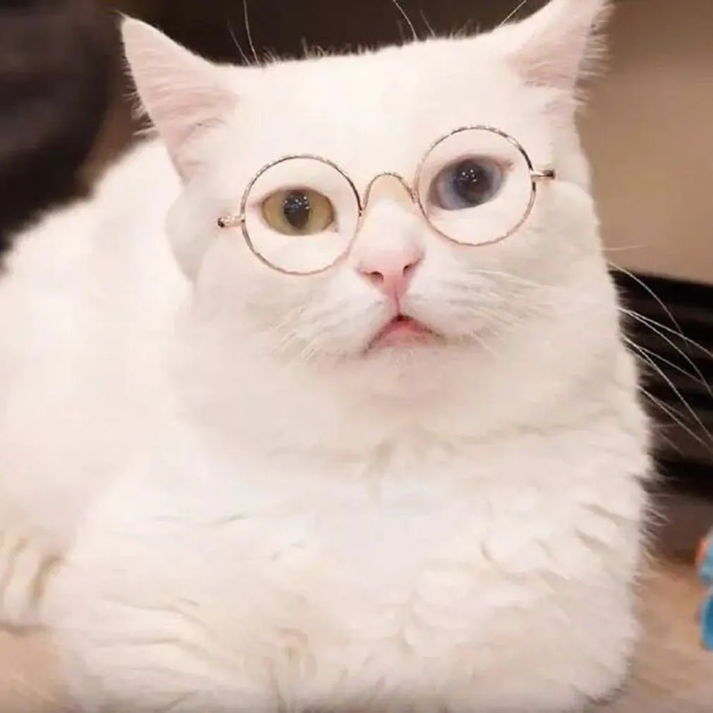 Pet Cat Glasses Dog Glasses Pet Products for Little Dog Cat Eye Wear Dog Sunglasses Photos Props Accessories Pet Supplies Toy
Pet Cat Glasses Dog Glasses Pet Products for Little Dog Cat Eye Wear Dog Sunglasses Photos Props Accessories Pet Supplies Toy