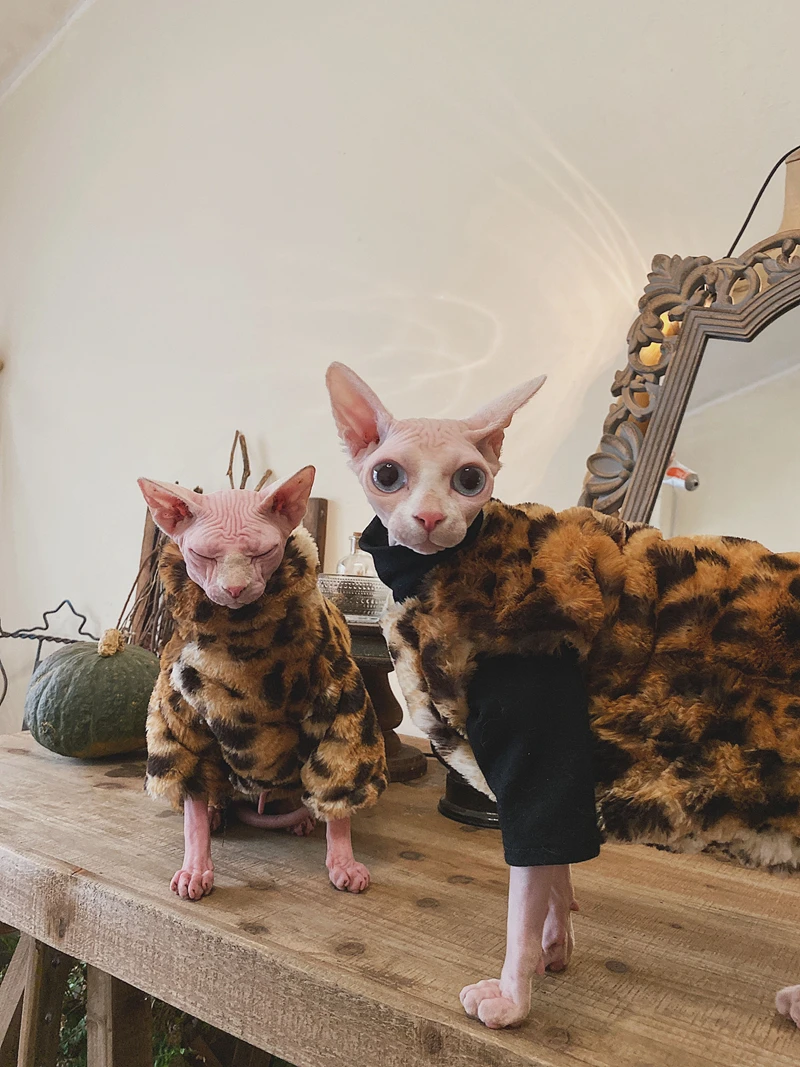 Soft Cat Dog Pet Clothes Fleece Hooded Hairball Coat Jacket Winter Kitty Small Medium Dogs Cats Cool Pajamas Chihuahua Clothing
Soft Cat Dog Pet Clothes Fleece Hooded Hairball Coat Jacket Winter Kitty Small Medium Dogs Cats Cool Pajamas Chihuahua Clothing