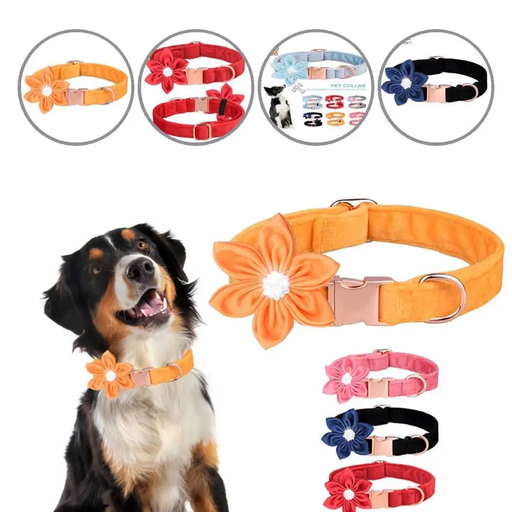 Useful Puppy Collar Eco-friendly Lightweight Adjustable Dog Collar Dog Collar Puppy Collar
Useful Puppy Collar Eco-friendly Lightweight Adjustable Dog Collar Dog Collar Puppy Collar