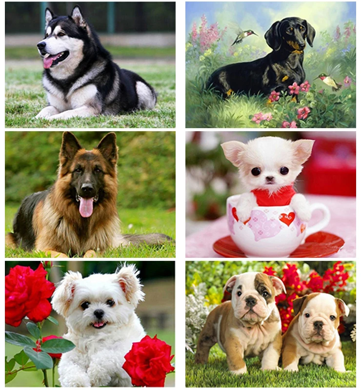 DIY 5D Diamond Painting Full Round Square Resin Mosaic Diamond Embroidery Cross Stitch Kits Wall Art lovely dog & puppy
DIY 5D Diamond Painting Full Round Square Resin Mosaic Diamond Embroidery Cross Stitch Kits Wall Art lovely dog & puppy