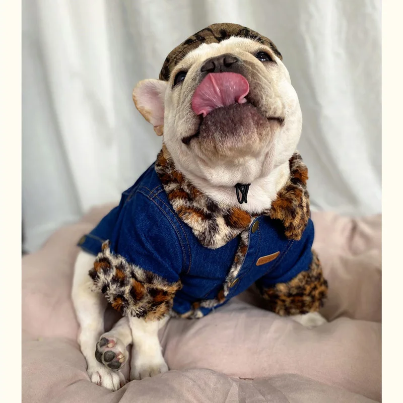 Warm Pet Dog Clothes Leopard Fur Collar Dog Denim Coat For Small Medium Dogs French Bulldog Jeans Jacket Fashion Pug Clothing
Warm Pet Dog Clothes Leopard Fur Collar Dog Denim Coat For Small Medium Dogs French Bulldog Jeans Jacket Fashion Pug Clothing