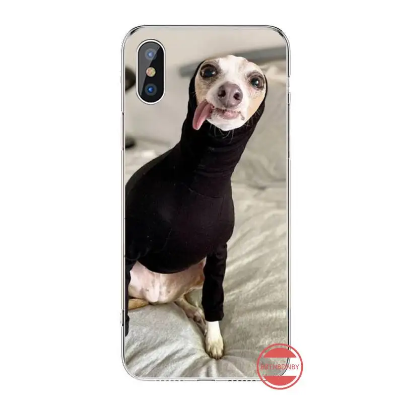 Funny Galgo Greyhound Dog Phone Cases For iphone 12 5 5s 5c se 6 6s 7 8 plus x xs xr 11 pro max
Funny Galgo Greyhound Dog Phone Cases For iphone 12 5 5s 5c se 6 6s 7 8 plus x xs xr 11 pro max
