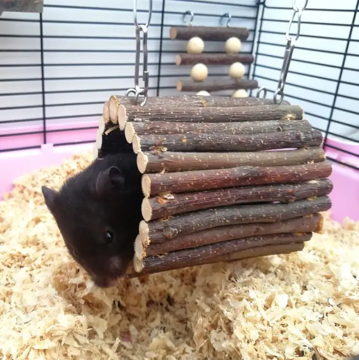 Hamster toys pet supplies Golden Bear decoration tunnel hamster supplies hamster gnawing molars wood hamster wooden toys
Hamster toys pet supplies Golden Bear decoration tunnel hamster supplies hamster gnawing molars wood hamster wooden toys