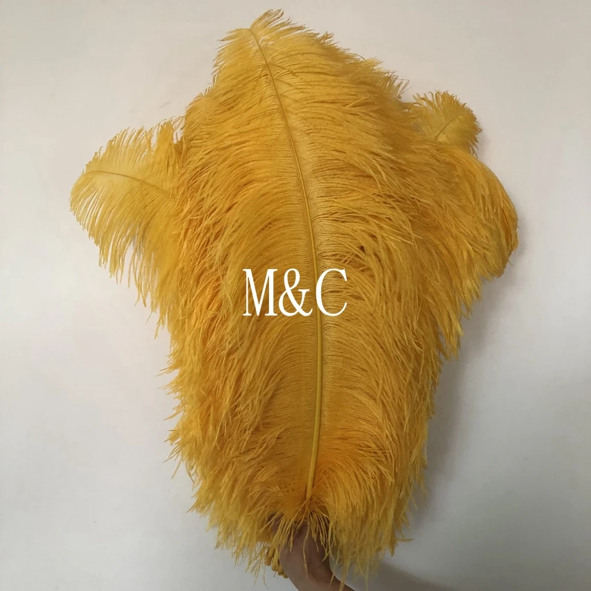 50pcs/lot Gold Yellow Dyed Big Pole Ostrich Feathers Party Wedding Decorative Feather Hotel Home Decorations 40-75cm 16-30inch 
50pcs/lot Gold Yellow Dyed Big Pole Ostrich Feathers Party Wedding Decorative Feather Hotel Home Decorations 40-75cm 16-30inch
