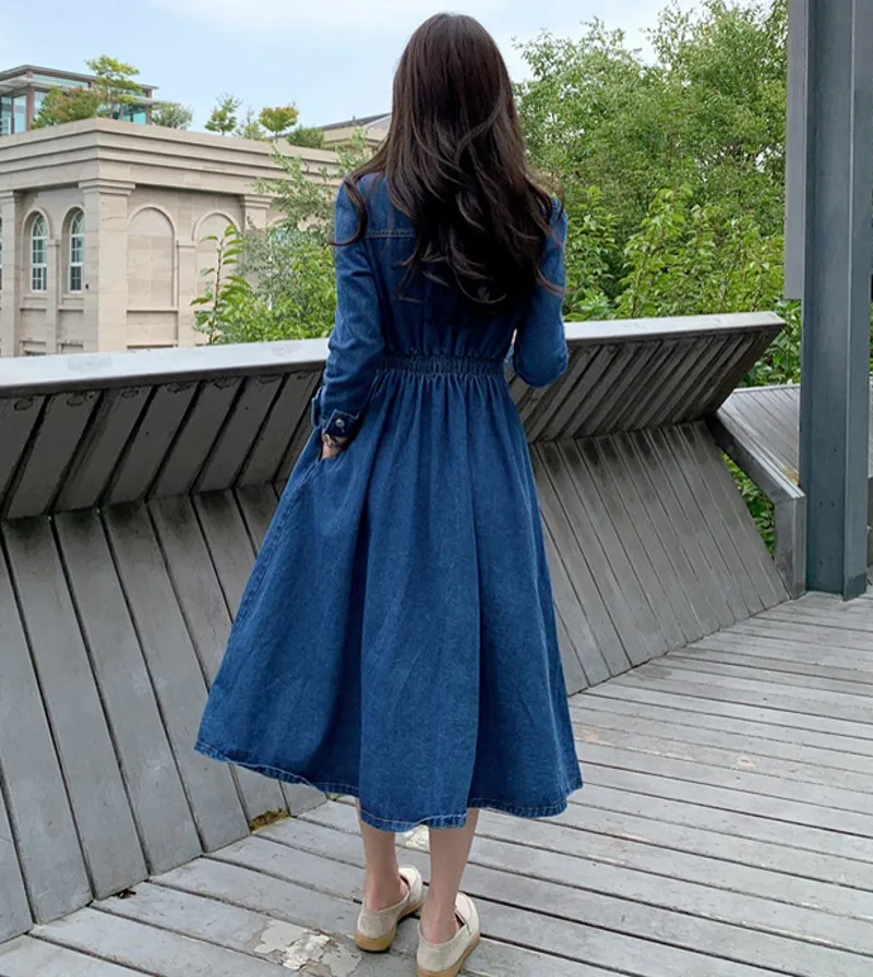2020 autumn winter Elegant Casual Denim Dress Women Single-breasted Slim A-line denim dress Vestidos
2020 autumn winter Elegant Casual Denim Dress Women Single-breasted Slim A-line denim dress Vestidos