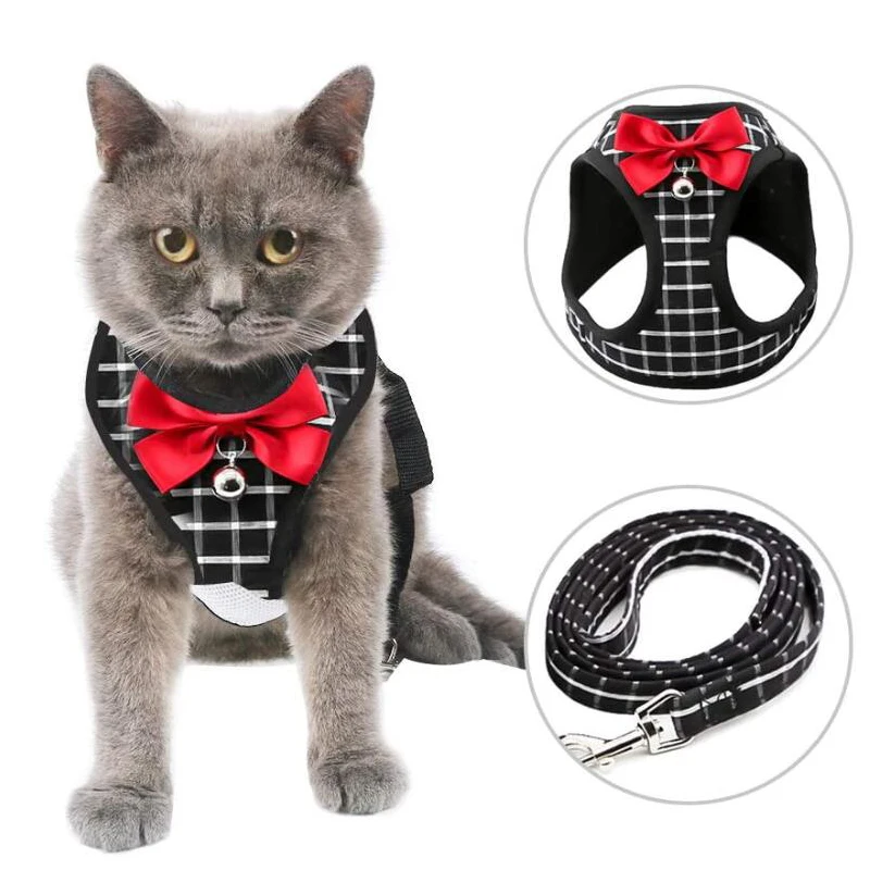 Шлейка-жилетка для собак, регулируемый сетчатый поводок для прогулок с щенками
Шлейка-жилетка для собак, регулируемый сетчатый поводок для прогулок с щенками