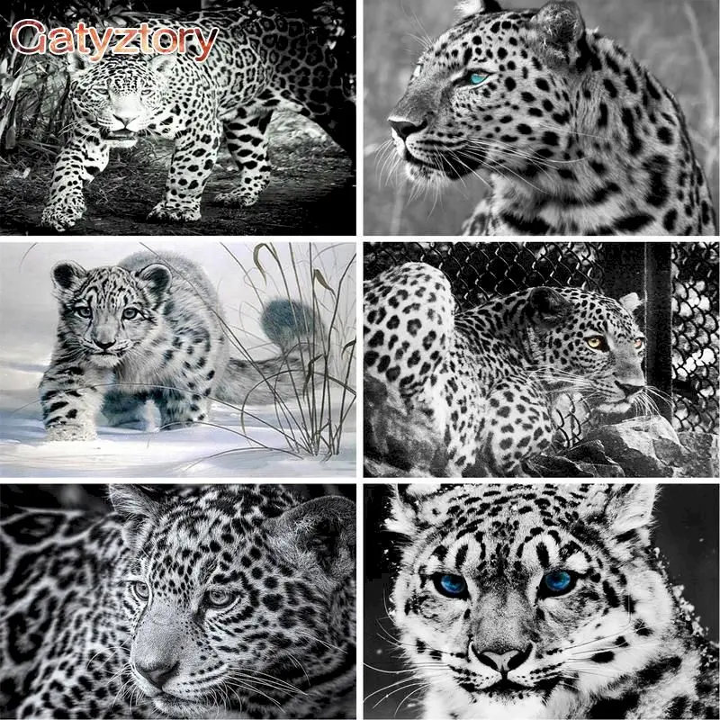 GATYZTORY DIY Painting By Numbers Black and White Cheetah Animals Oil Painting HandPainted Home Decor Gift Canvas Drawing
GATYZTORY DIY Painting By Numbers Black and White Cheetah Animals Oil Painting HandPainted Home Decor Gift Canvas Drawing