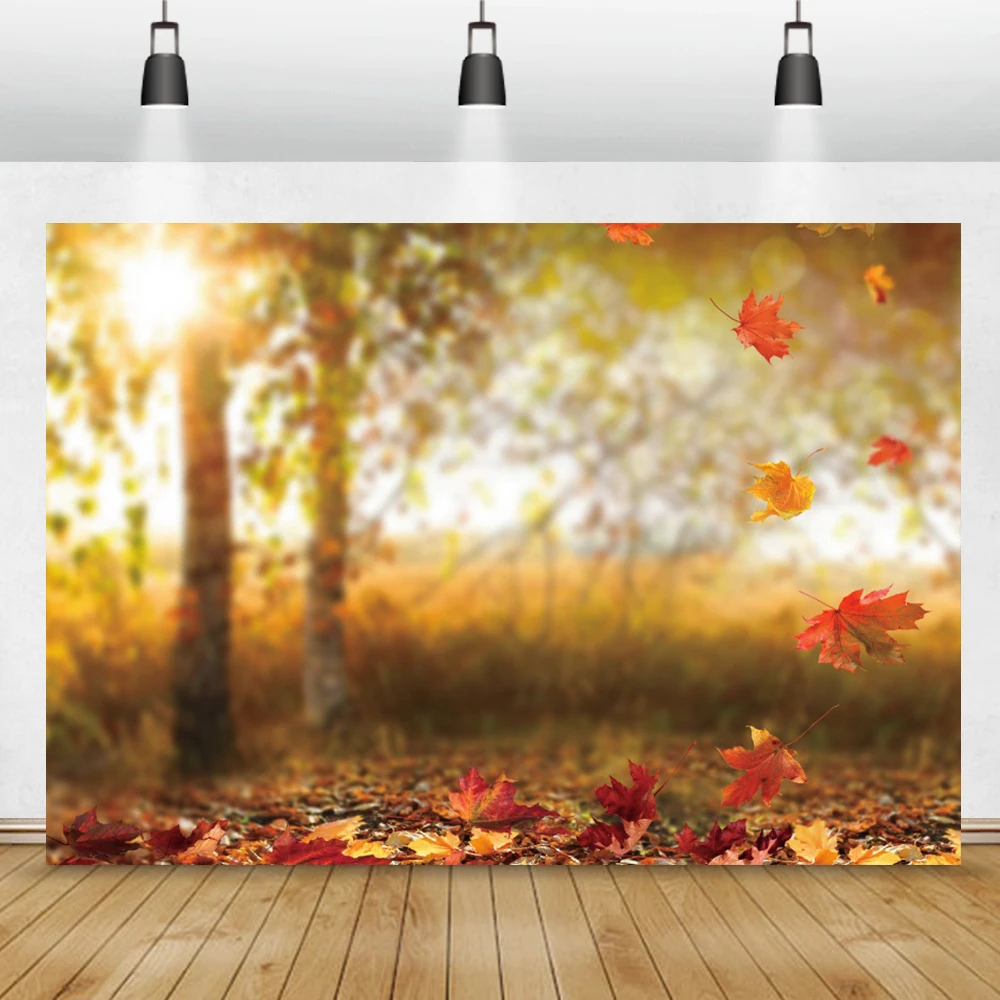 Autumn Forest Background For Photography Falling Maple Leaves Light Bokeh Forest Scene Portrait Photo backdrop For Photo Studio
Autumn Forest Background For Photography Falling Maple Leaves Light Bokeh Forest Scene Portrait Photo backdrop For Photo Studio