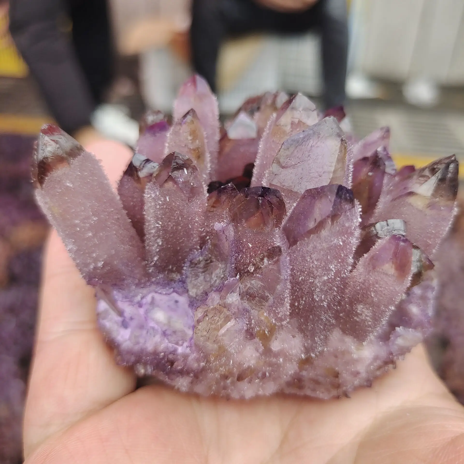 1pcs natural Amethyst cluster raw stones geode reiki healing quartz crystal minerals gemstone remove negative energy
1pcs natural Amethyst cluster raw stones geode reiki healing quartz crystal minerals gemstone remove negative energy