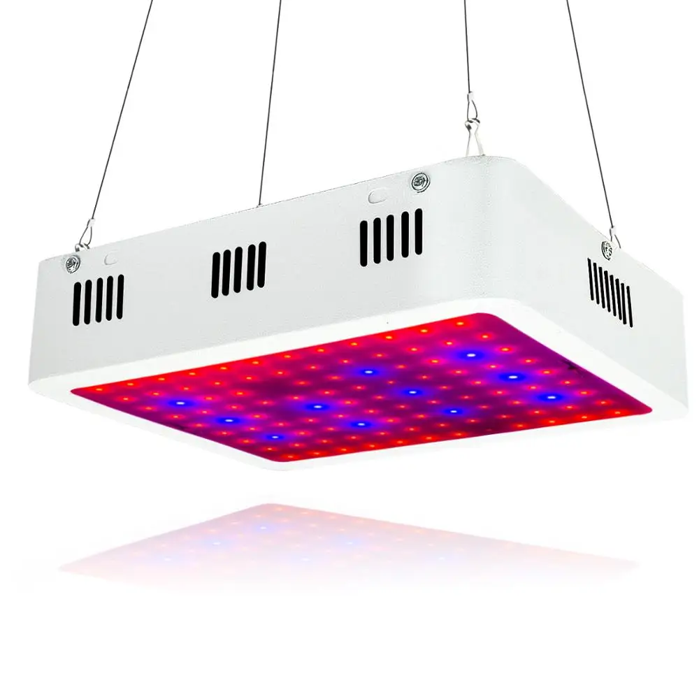 LED Grow Light,1000W HPS Replacement,Full Spectrum Indoor Grow Lamp,Special Design for Indoor Growing Herbs and Plants(100X10W)
LED Grow Light,1000W HPS Replacement,Full Spectrum Indoor Grow Lamp,Special Design for Indoor Growing Herbs and Plants(100X10W)