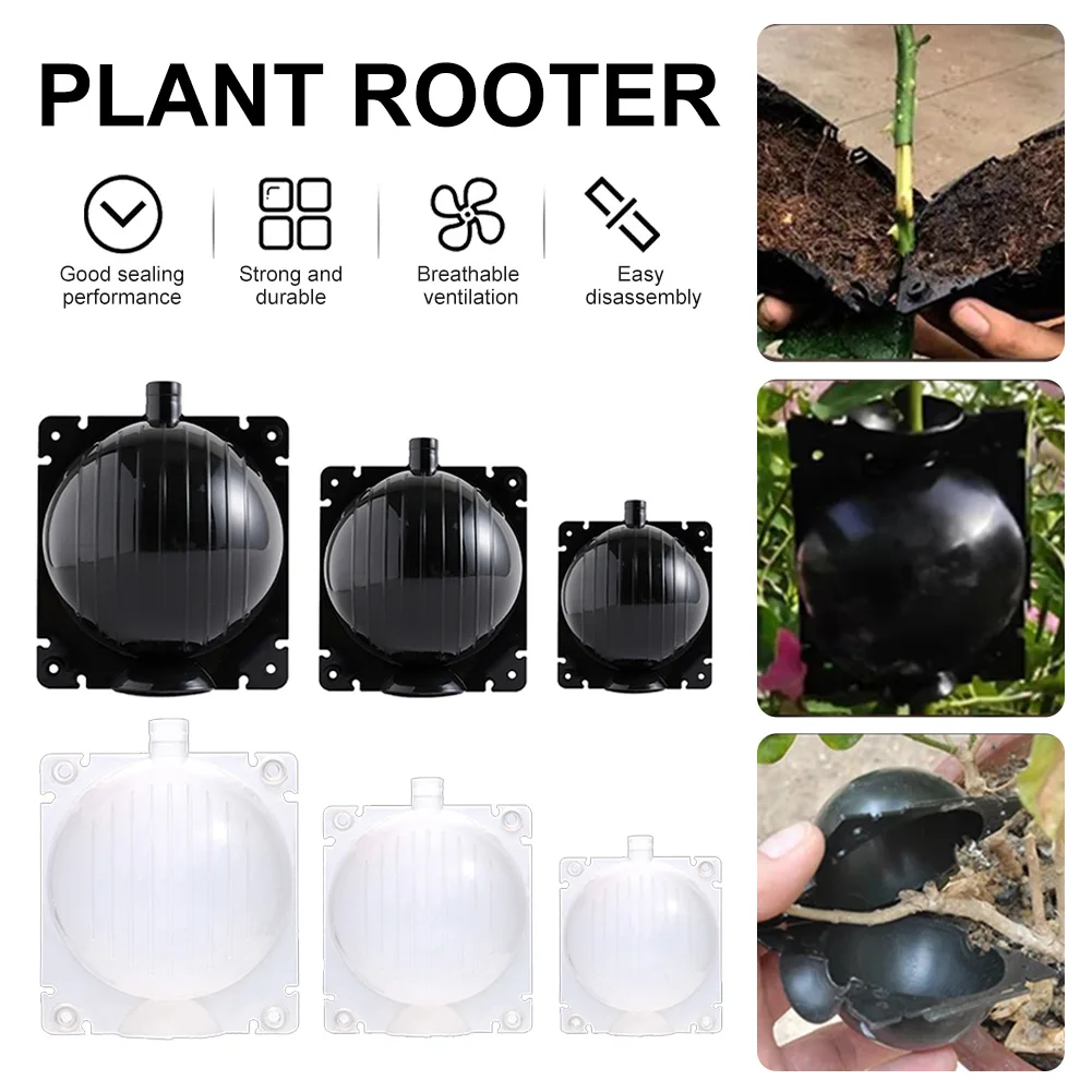 5/8/12cm Plant Rooting Ball Grafting Rooting Box Breeding Case Plant Root Growing Box For Garden In Diameter Planting Tools
5/8/12cm Plant Rooting Ball Grafting Rooting Box Breeding Case Plant Root Growing Box For Garden In Diameter Planting Tools