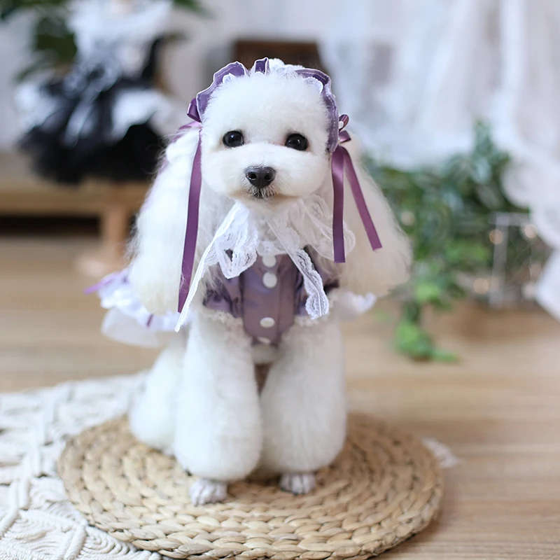 Customized Dog Dress Lolita Maids Cat Dog Dresses Teddy Pet Clothing Puppy Skirt Bichon Poodle Yorkshire Pomeranian Dog Clothes
Customized Dog Dress Lolita Maids Cat Dog Dresses Teddy Pet Clothing Puppy Skirt Bichon Poodle Yorkshire Pomeranian Dog Clothes