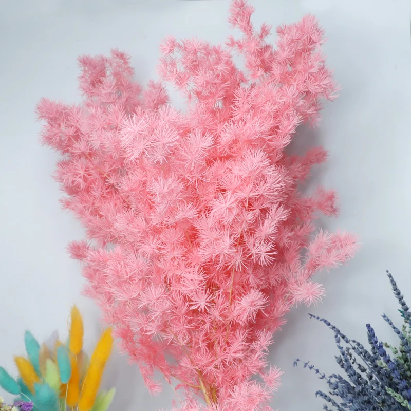 Сушеная Сохраненная натуральный букет цветов спаржа Myrioeladus Ming папоротник DIY