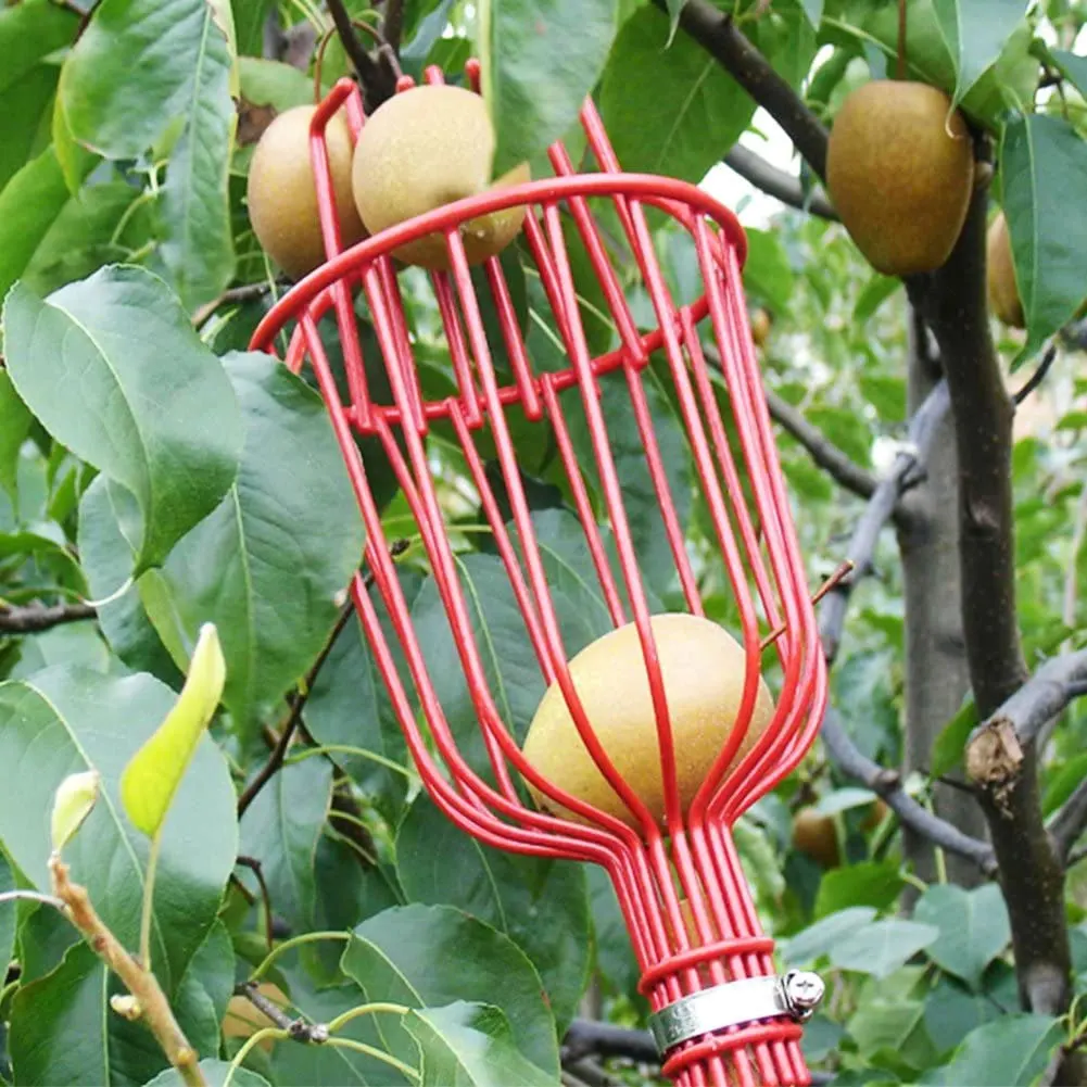 High-altitude Fruit Picker Tool Picking Harvester Basket Orchard Lightweight Bruise Free For Apple Pear Peach Picking Tools
High-altitude Fruit Picker Tool Picking Harvester Basket Orchard Lightweight Bruise Free For Apple Pear Peach Picking Tools