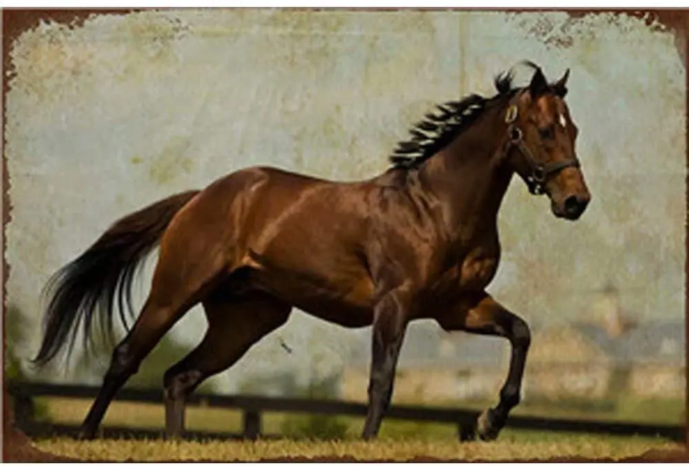 Wild Horse Poster Funny Art Decor Vintage Aluminum Retro Metal Tin Sign Painting Decorative Signs
Wild Horse Poster Funny Art Decor Vintage Aluminum Retro Metal Tin Sign Painting Decorative Signs