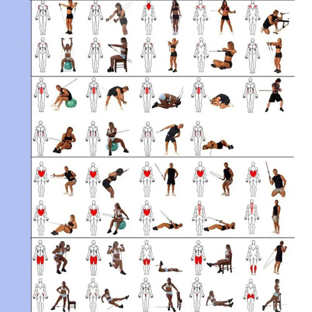 FDBRO Pull Rope Fitness Exercises Resistance Bands Latex Tubes Pedal Excerciser Body Training Workout Yoga 11pcs/set Free Ship 
FDBRO Pull Rope Fitness Exercises Resistance Bands Latex Tubes Pedal Excerciser Body Training Workout Yoga 11pcs/set Free Ship