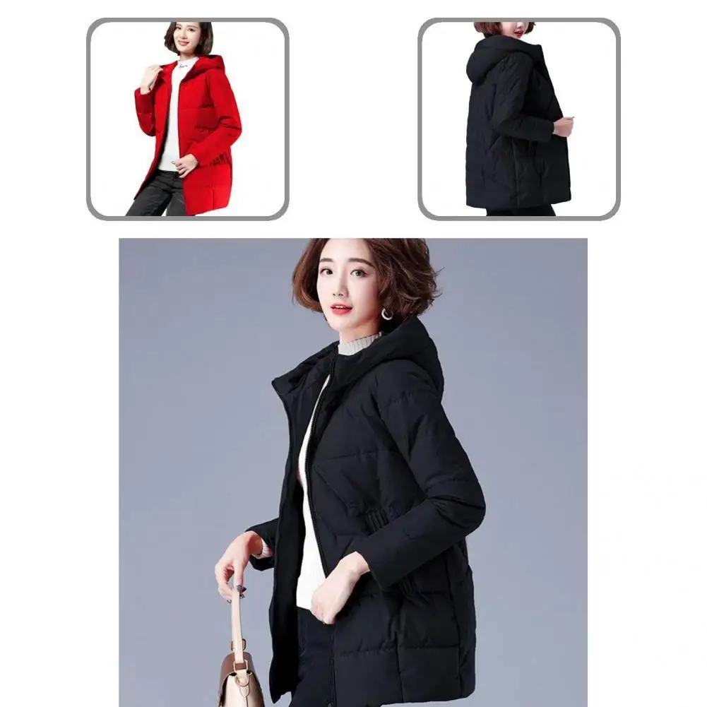 Fabulous Casual Women Down Coat Women Down Coat Great Stitching Cardigan
Fabulous Casual Women Down Coat Women Down Coat Great Stitching Cardigan