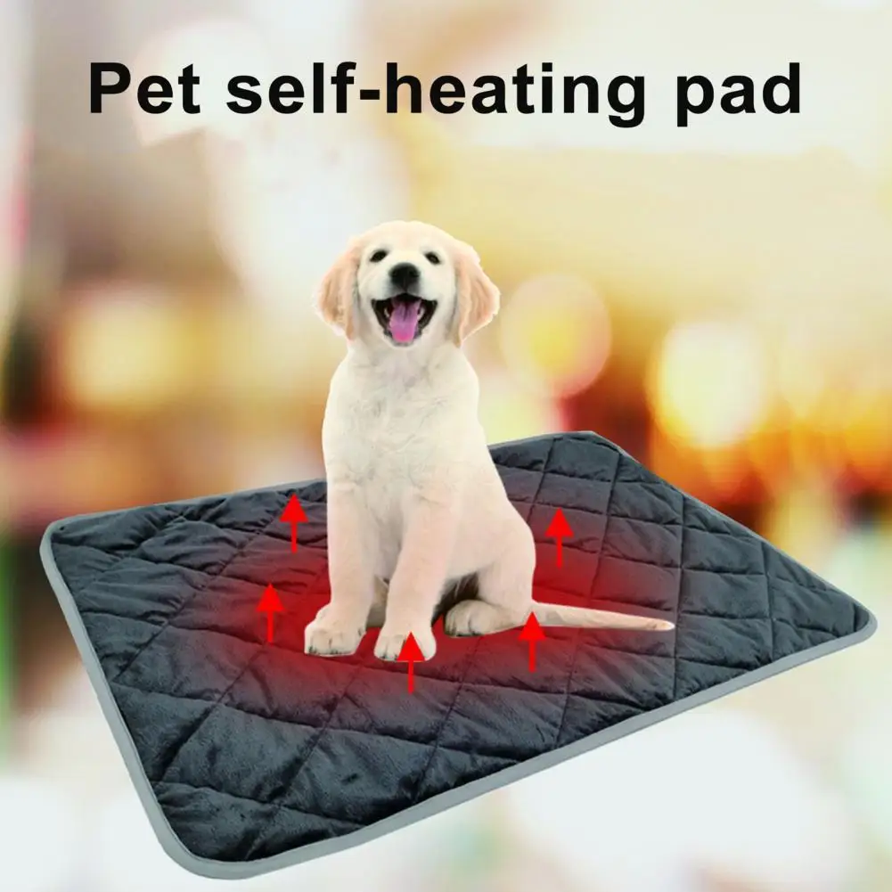 Useful Self-Warming Pet Pad Anti-scratching Thick Universal Self-Warming Pet Pad Thermal Cat Pad Self-Warming Pet Pad
Useful Self-Warming Pet Pad Anti-scratching Thick Universal Self-Warming Pet Pad Thermal Cat Pad Self-Warming Pet Pad