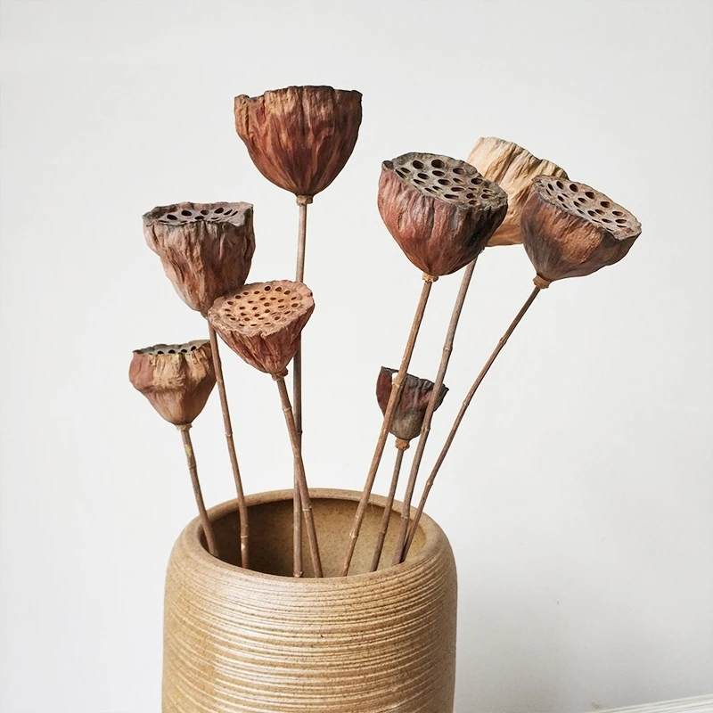 10Pcs Natural Artificial Dried Lotus Emulation Pressed Flowers Desk Onament Home Office Decorative Flores Secas DIY Decor Craft
10Pcs Natural Artificial Dried Lotus Emulation Pressed Flowers Desk Onament Home Office Decorative Flores Secas DIY Decor Craft