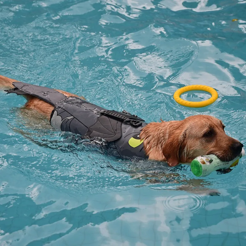 life jacket for pet Dog Life Vest Jacket for Swimming Boating Lifesaver Coat Puppy Life Saver Grey S M L
life jacket for pet Dog Life Vest Jacket for Swimming Boating Lifesaver Coat Puppy Life Saver Grey S M L