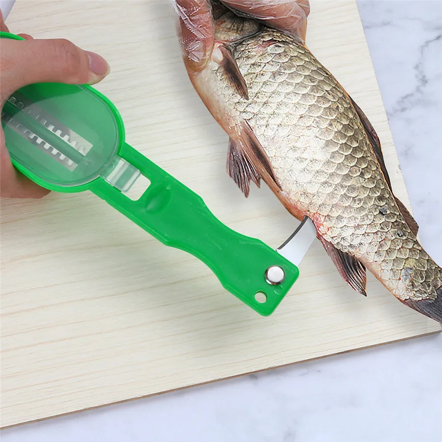 Practical Fish Scale Remover Plastic Descaler Cleaning Scraper Kitchen Fruit Vegetable Peeler Useful Scraper Accessories
Practical Fish Scale Remover Plastic Descaler Cleaning Scraper Kitchen Fruit Vegetable Peeler Useful Scraper Accessories