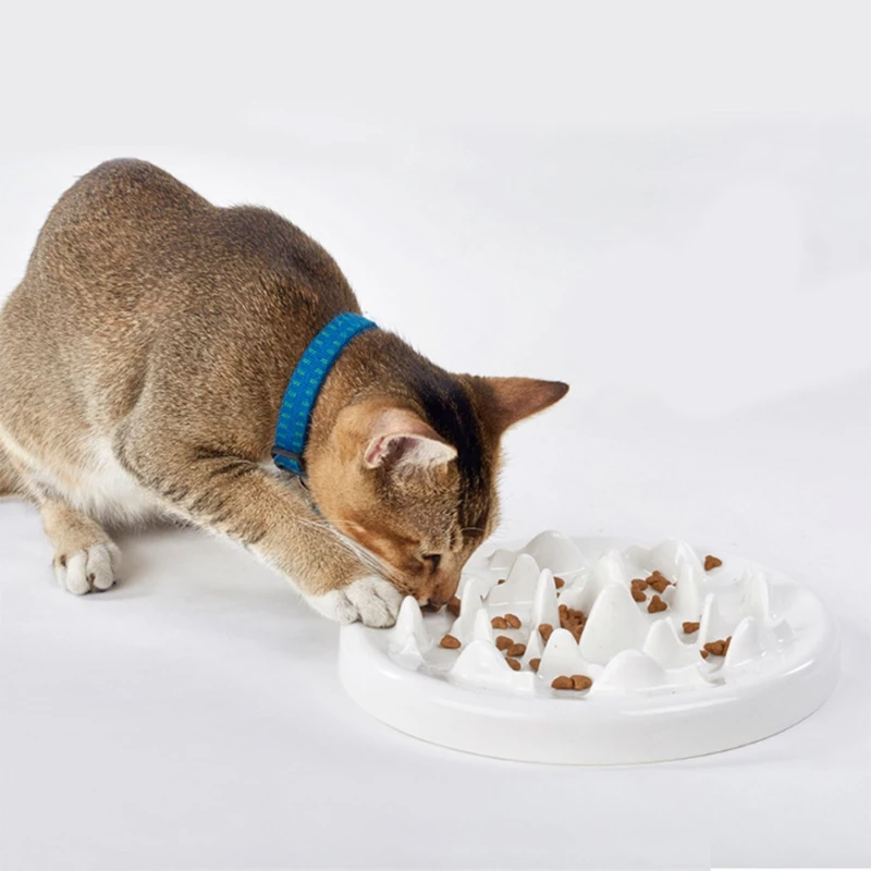 Ceramic Slow Feeder Cats Bowl Interactive Bloat Stop Puzzle Pet Feeding Plate D08D
Ceramic Slow Feeder Cats Bowl Interactive Bloat Stop Puzzle Pet Feeding Plate D08D