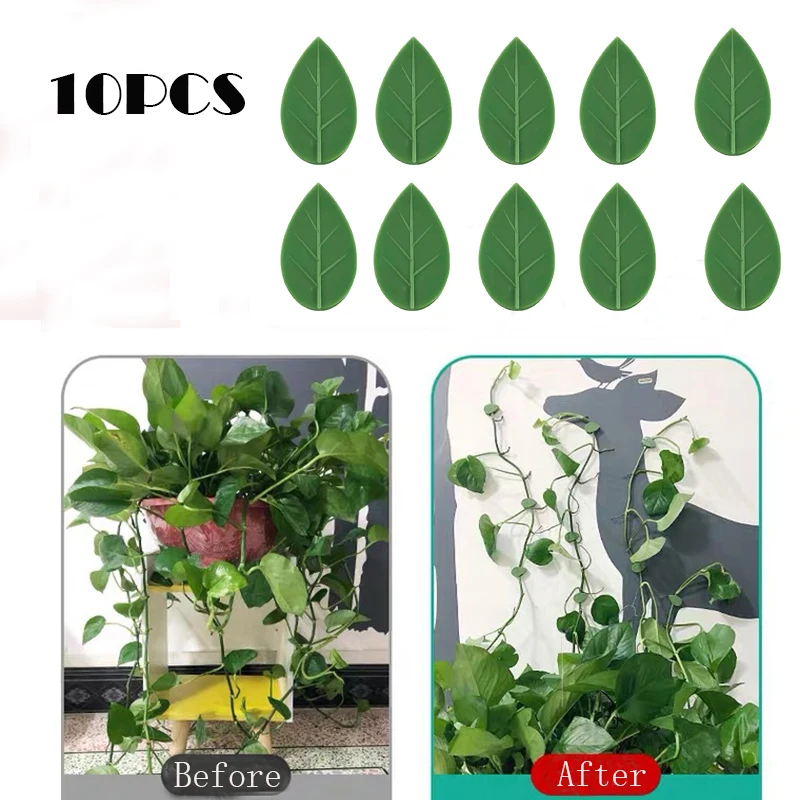 10Pcs Self-Adhesive Plant Climbing Hook Buckle Wall Fastener Clip Fixture Vine Buckle Garden plant Wall Climbing Fixed Hook
10Pcs Self-Adhesive Plant Climbing Hook Buckle Wall Fastener Clip Fixture Vine Buckle Garden plant Wall Climbing Fixed Hook