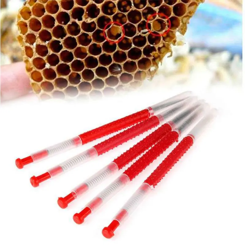10pcs Beekeeping Grafting Tool Bee Apiculture Retractable Grafting Equipment 
10pcs Beekeeping Grafting Tool Bee Apiculture Retractable Grafting Equipment