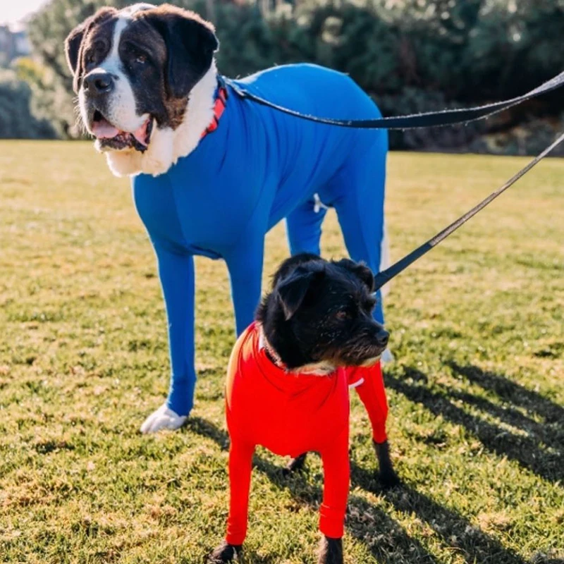 Four-legged Big Dog Costume Elasticity Sexy Tights Pet Jumpsuit Winter Warm Dog Clothes For Medium Large Dogs Labrador Costume
Four-legged Big Dog Costume Elasticity Sexy Tights Pet Jumpsuit Winter Warm Dog Clothes For Medium Large Dogs Labrador Costume