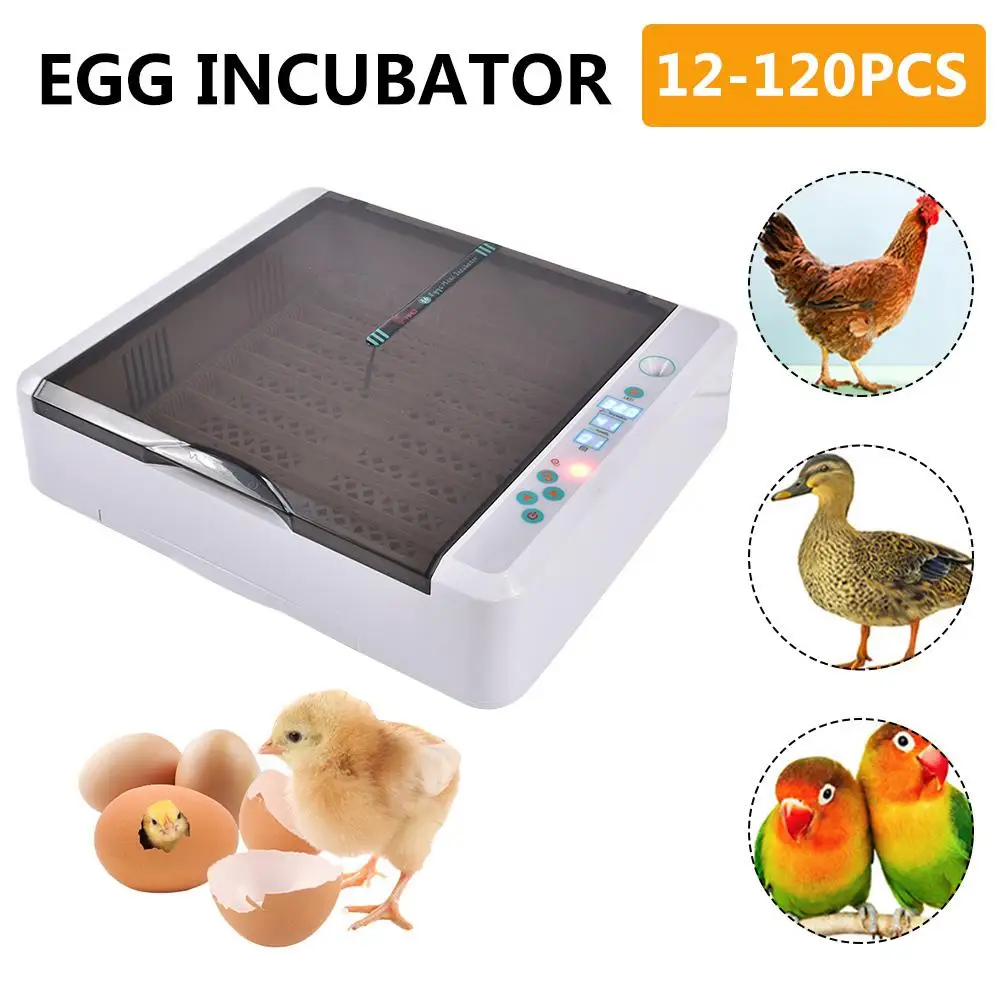 New Egg Incubator Digital Automatic Household Incubator For 12-120 Eggs Digital Fully Automatic Breeding Hatcher Home Use
New Egg Incubator Digital Automatic Household Incubator For 12-120 Eggs Digital Fully Automatic Breeding Hatcher Home Use