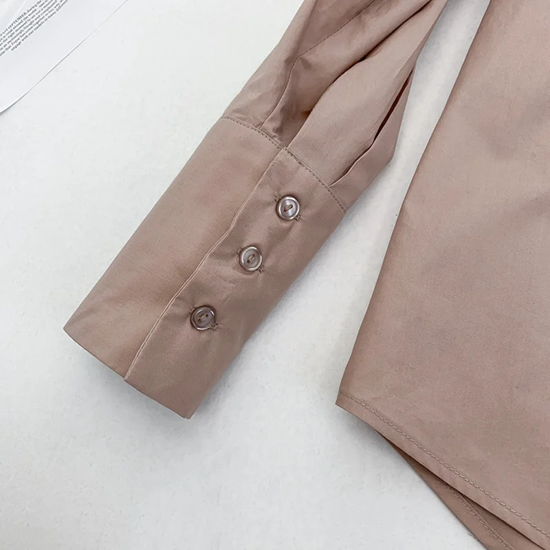 Autumn Spring and New All-match Long-sleeved Small Stand-up Collar Single-row Button Gentle Leather Pink Shirt Women
Autumn Spring and New All-match Long-sleeved Small Stand-up Collar Single-row Button Gentle Leather Pink Shirt Women
