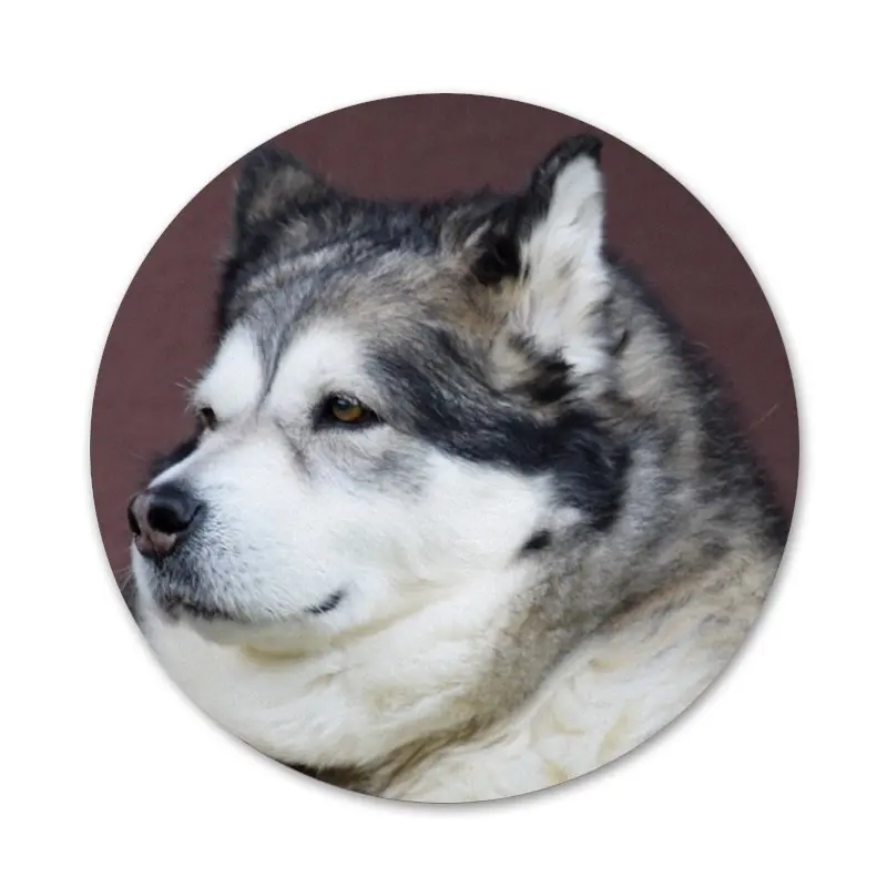 58mm Alaskan Malamute dog Icons Pins Badge Decoration Brooches Metal Badges For Backpack Decoration
58mm Alaskan Malamute dog Icons Pins Badge Decoration Brooches Metal Badges For Backpack Decoration
