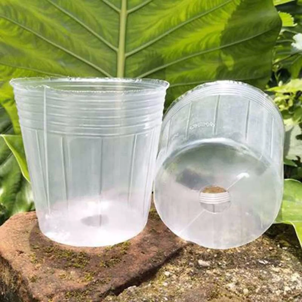 50PCS Transparent Nutrition Bowl Cup Succulent Orchid Transparent Pot Flower Nursery Production Home Garden Decoration
50PCS Transparent Nutrition Bowl Cup Succulent Orchid Transparent Pot Flower Nursery Production Home Garden Decoration
