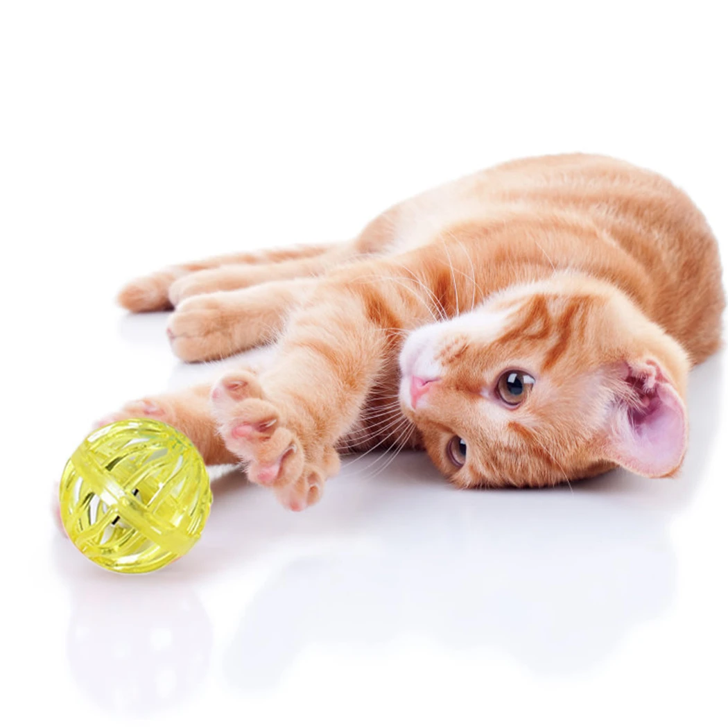 2019 New 10pcs Pet Cat Toy Colorful Handmade Bells Bouncy Ball Cat Interactive Toy Training Playing Toys Pet Supplies
2019 New 10pcs Pet Cat Toy Colorful Handmade Bells Bouncy Ball Cat Interactive Toy Training Playing Toys Pet Supplies