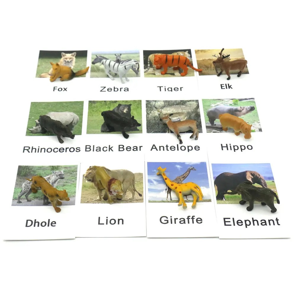 Montessori Early Childhood Education Preschool Forest Animals Early Learning Language Toddlers for Montessori Baby Toys L1046F
Montessori Early Childhood Education Preschool Forest Animals Early Learning Language Toddlers for Montessori Baby Toys L1046F